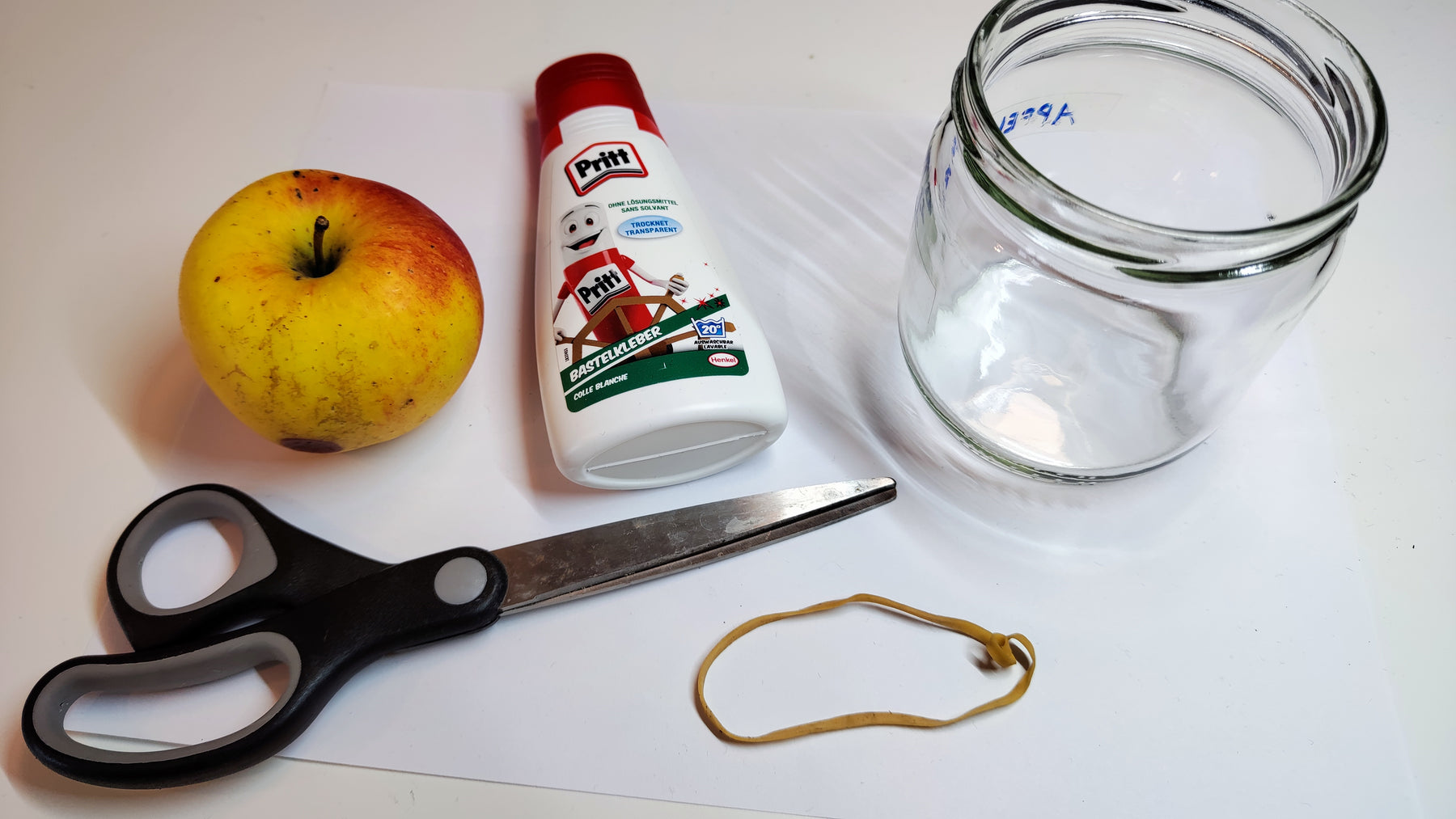 Combatti con successo i moscerini della frutta in un contenitore per vermi