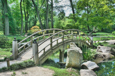 Veduta di un ponte in un giardino