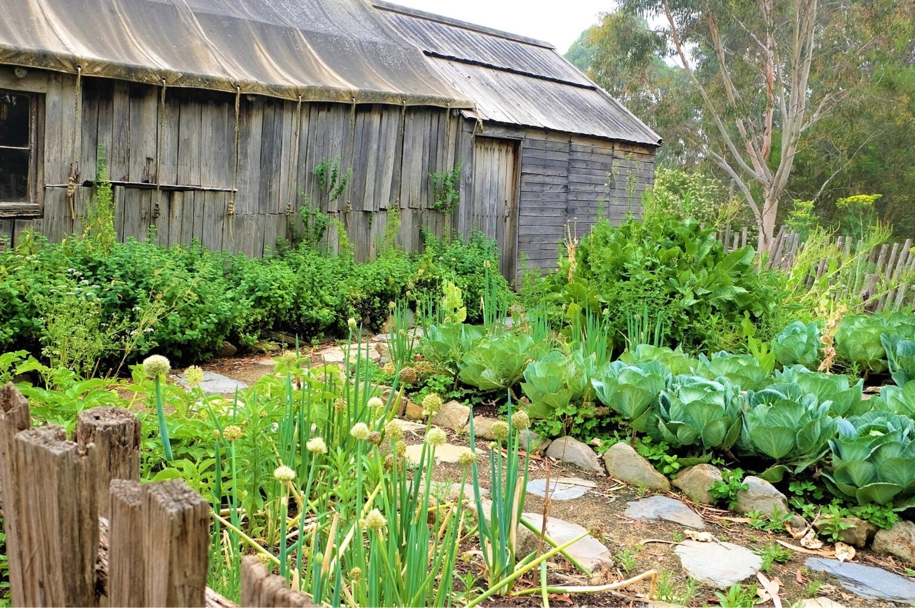 Drahtwürmer bekämpfen – mit biologischen Maßnahmen zum Ziel!