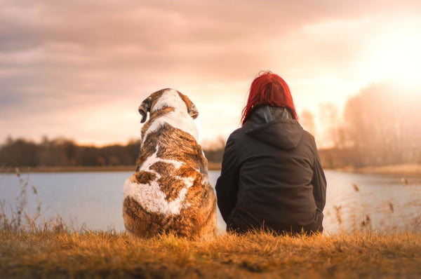 Un cane e una donna siedono sulla riva di un lago