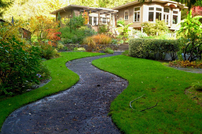 Veduta di una casa con giardino