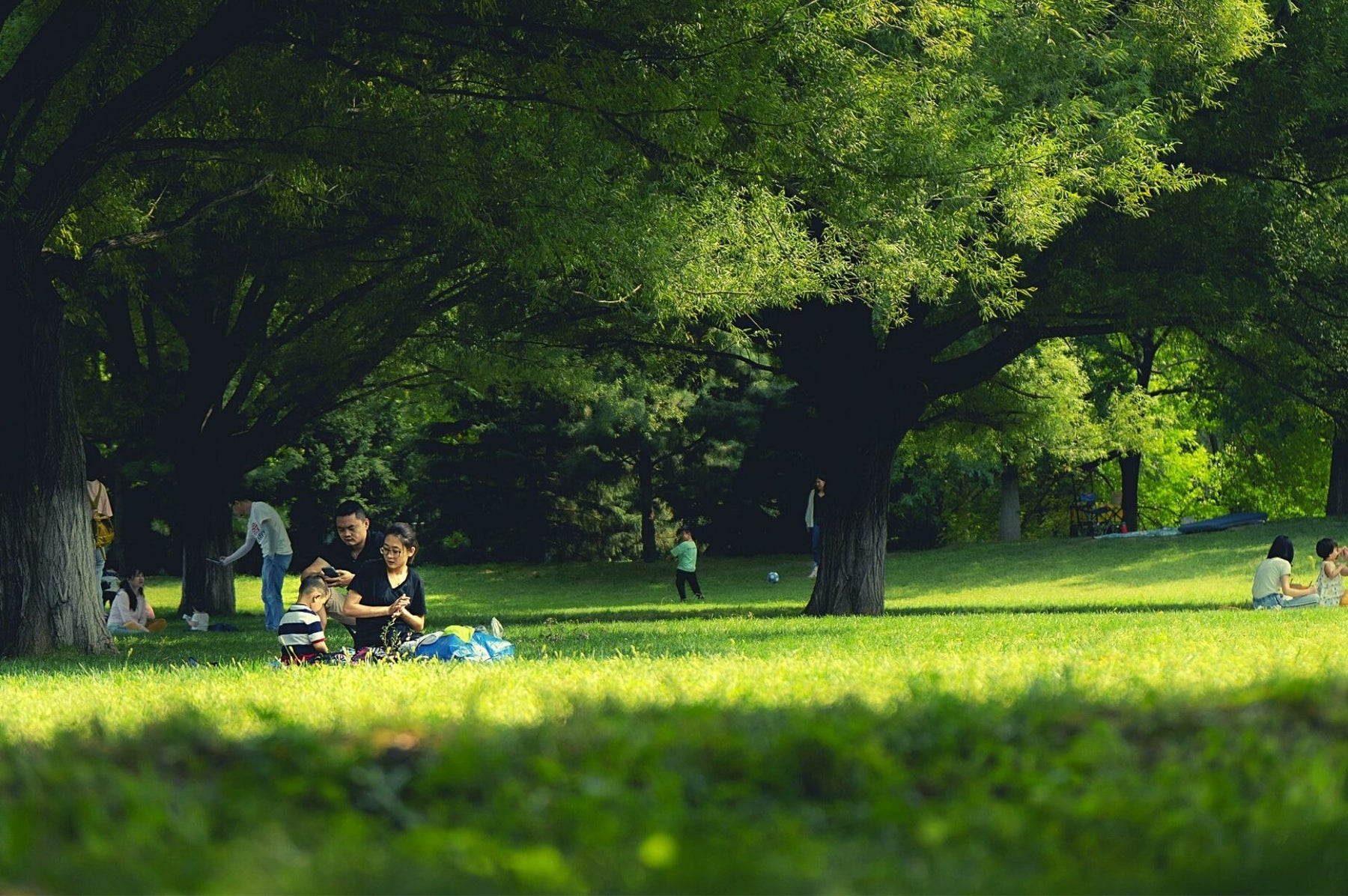 Menschen in einem Park