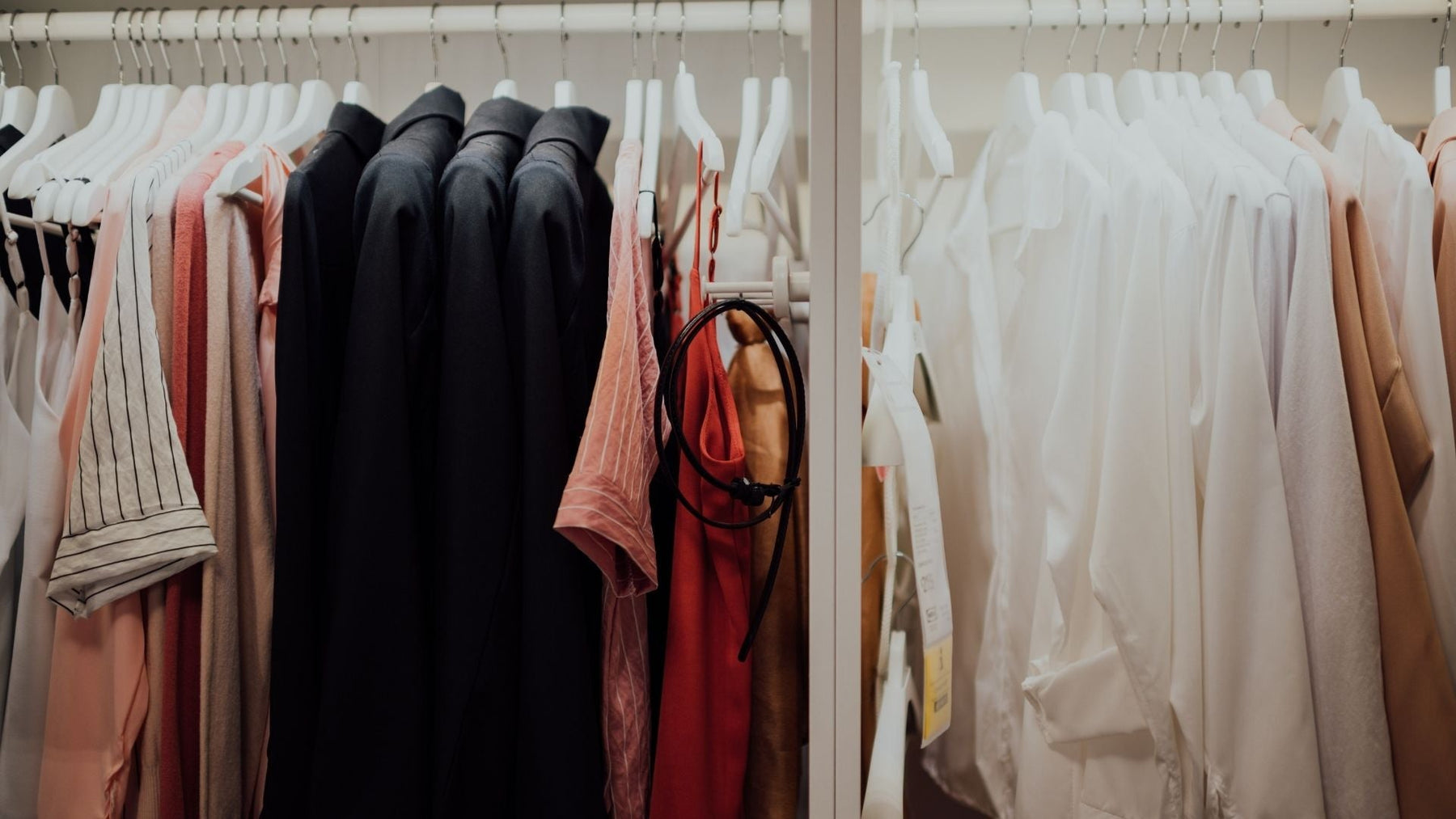 Trova e combatti efficacemente le uova di coleottero