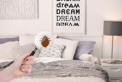 Donna con lente d'ingrandimento che rileva cimici dei letti in camera da letto