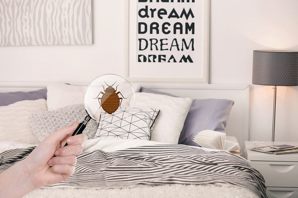 Donna con lente d'ingrandimento che rileva cimici dei letti in camera da letto