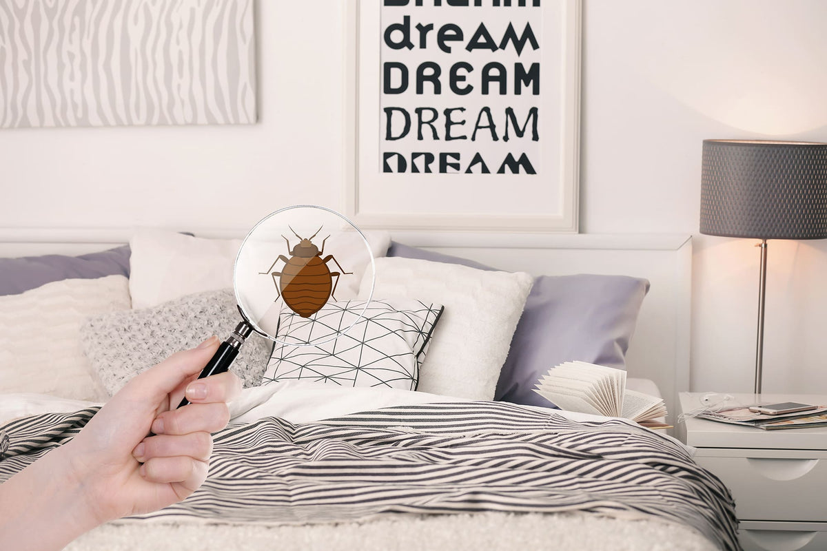 Woman with magnifying glass detecting bed bug in bedroom