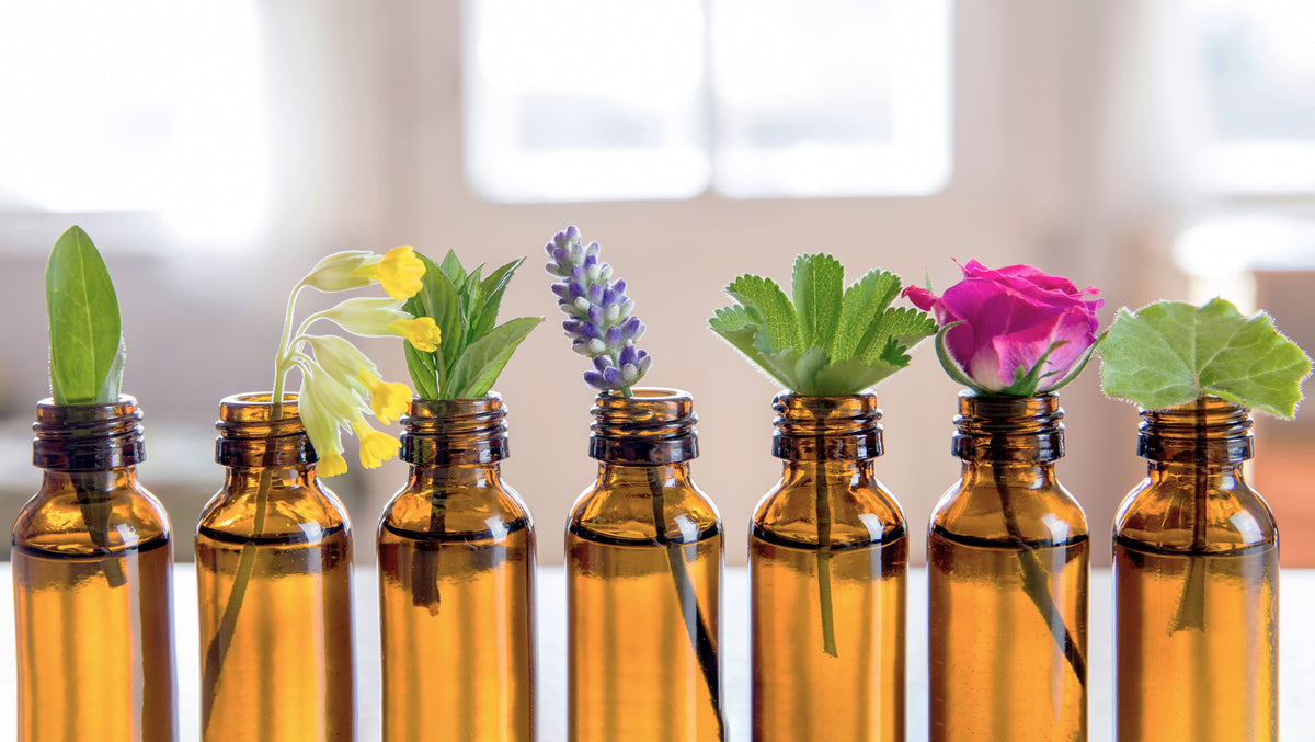 Selective focus lot of fresh herbs in small vintage bottles in a row.