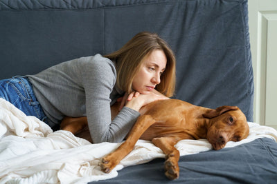 Il cane non ha movimenti intestinali per 1 giorno