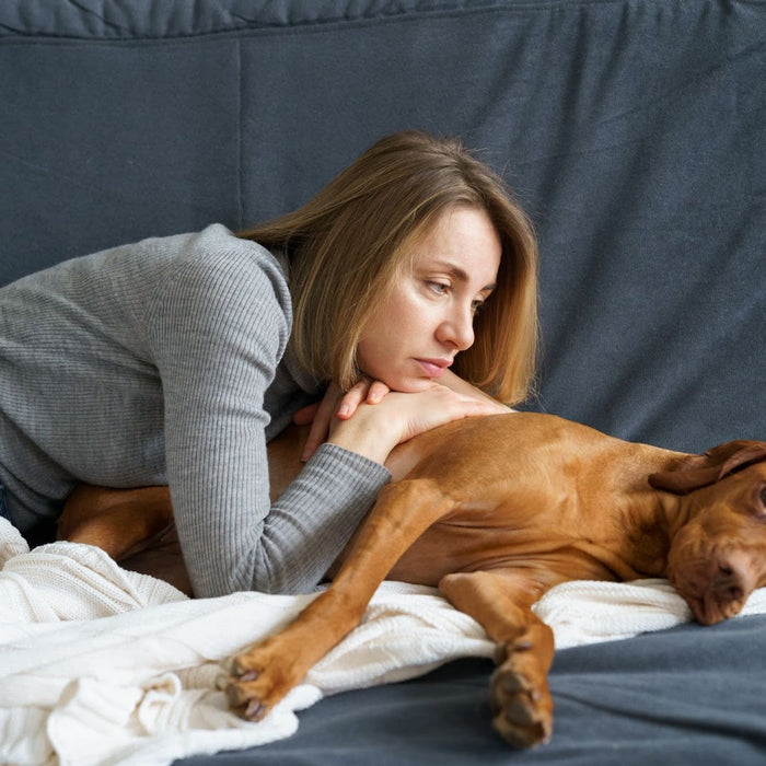Il cane non ha movimenti intestinali per 1 giorno
