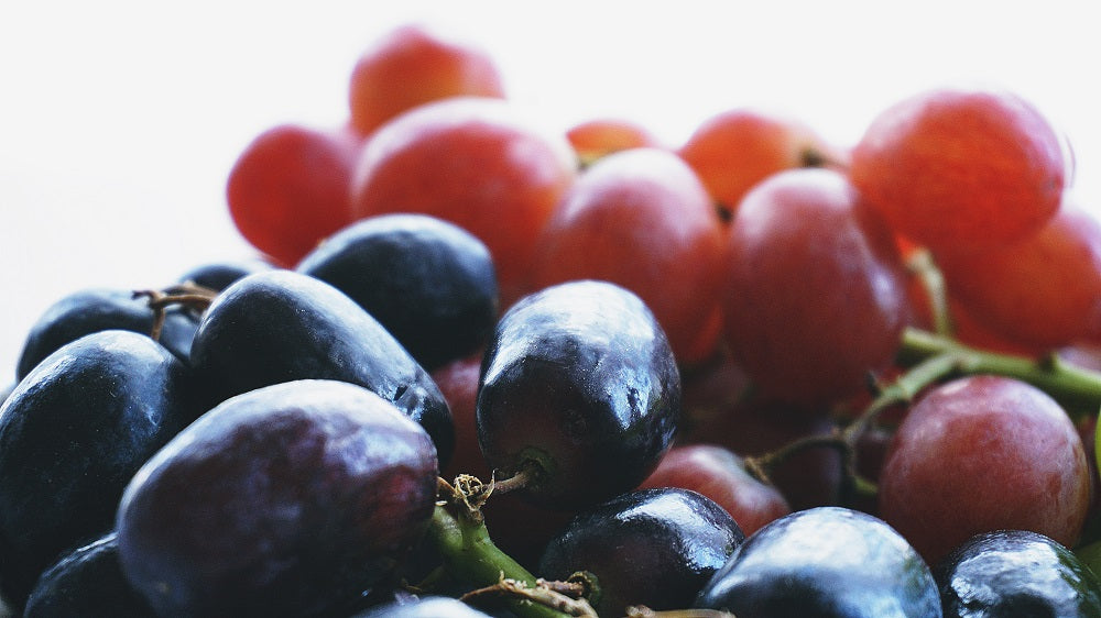 Sbarazzati dei moscerini della frutta