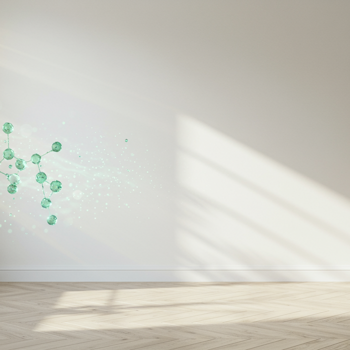 Ozon gegen Schimmel: Wirksamkeit der Ozonbehandlung