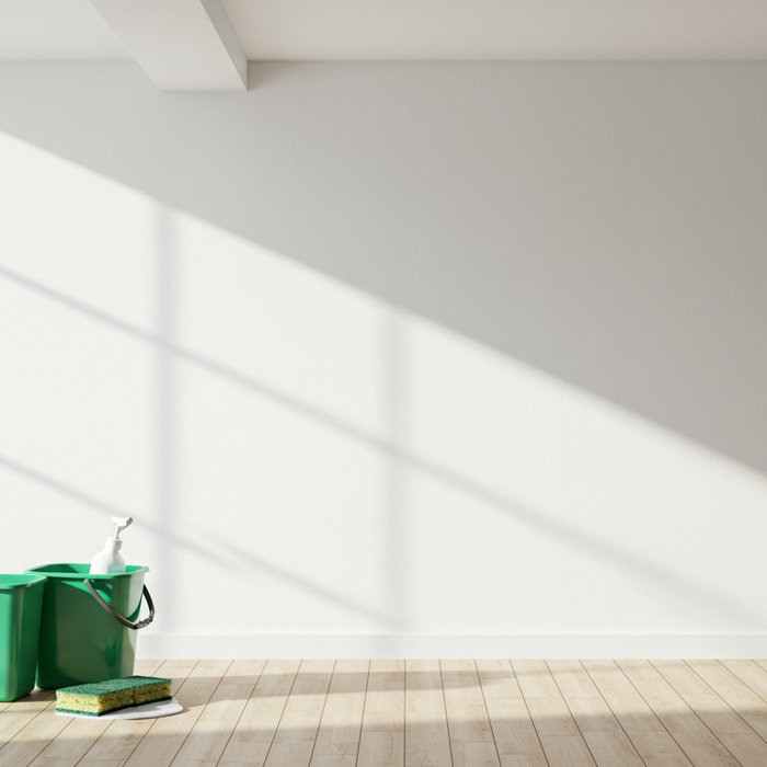 Schimmel im Keller und an der Kellerwand entfernen