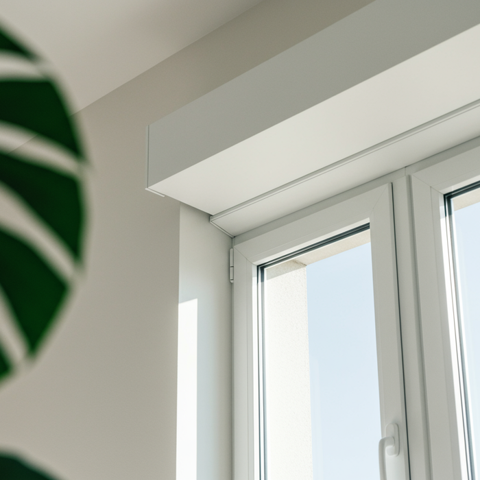 Schimmel im Rolladenkasten: Ursachen und Loesung