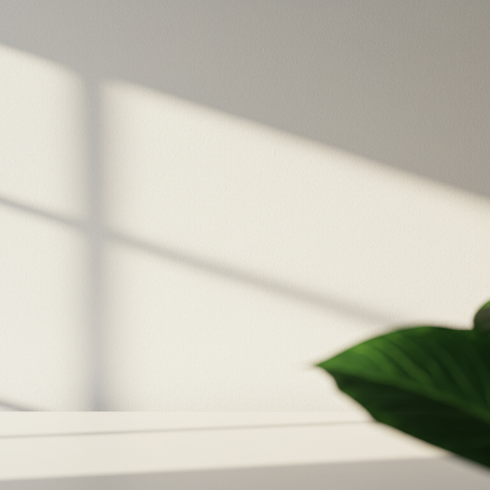 Schimmel Ursachen: Feuchtigkeit und Baumaengel