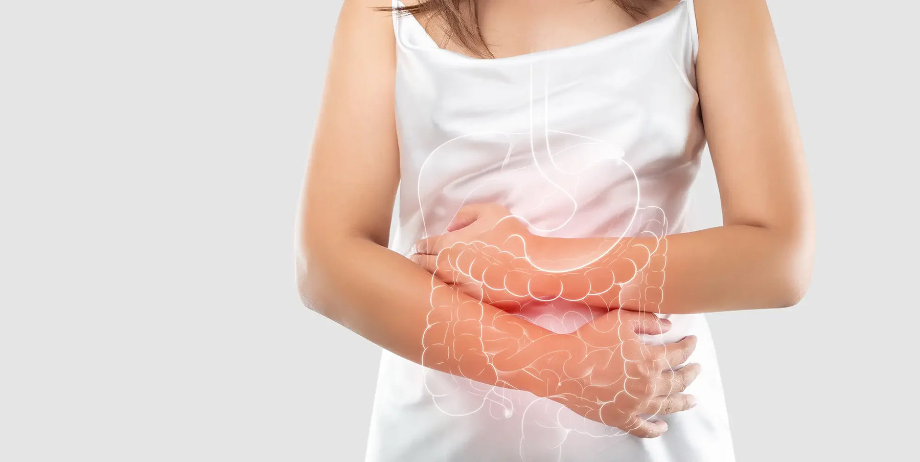 Giardia nell'uomo: sintomi, cause e trattamento 