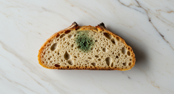 Was passiert wenn man Schimmel isst? Risiken und Massnahmen