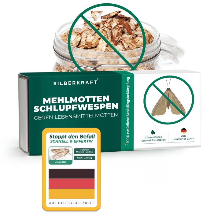 Mehlmottenschlupfwespen - Schlupfwespen gegen Mehlmotten - Silberkraft