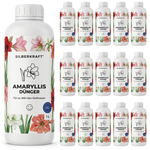 Fertilizzante Amaryllis - Silberkraft