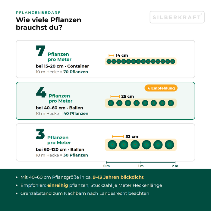 Fabbisogno di piante Ilex crenata 'Caroline Upright': da 3 a 7 piante per metro di siepe a seconda della dimensione, distanza di piantagione vista dall'alto