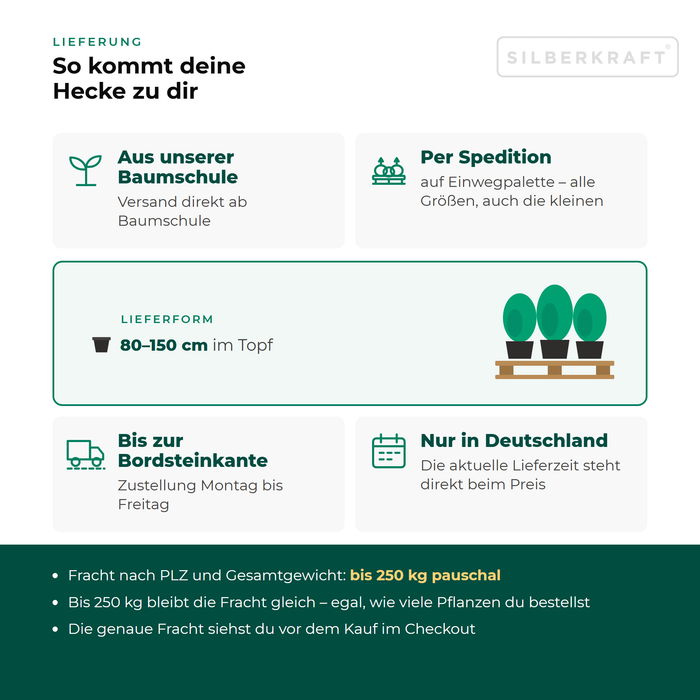 Lieferung Schirmbambus 'Rufa': aus unserer Baumschule per Spedition auf Einwegpalette bis zur Bordsteinkante, nur innerhalb Deutschlands, Fracht bis 250 kg pauschal