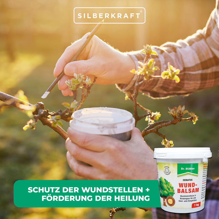 Balsamo per ferite Ceratus – prodotto per la cura delle ferite degli alberi