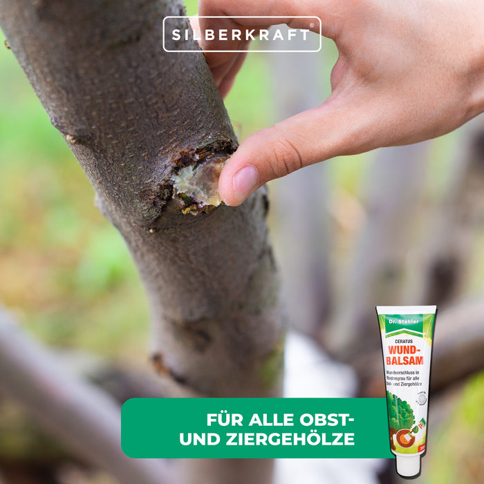 Balsamo per ferite Ceratus – prodotto per la cura delle ferite degli alberi