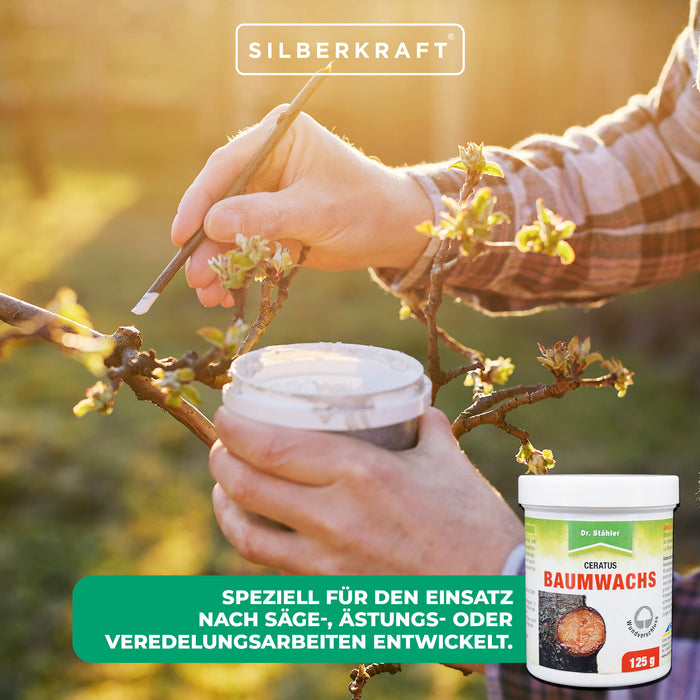 Cera per alberi Ceratus: agente di rifinitura e chiusura di ferite ideale per alberi da frutto e ornamentali