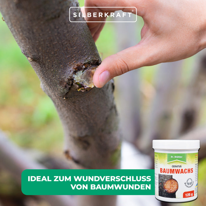 Cera per alberi Ceratus: agente di rifinitura e chiusura di ferite ideale per alberi da frutto e ornamentali