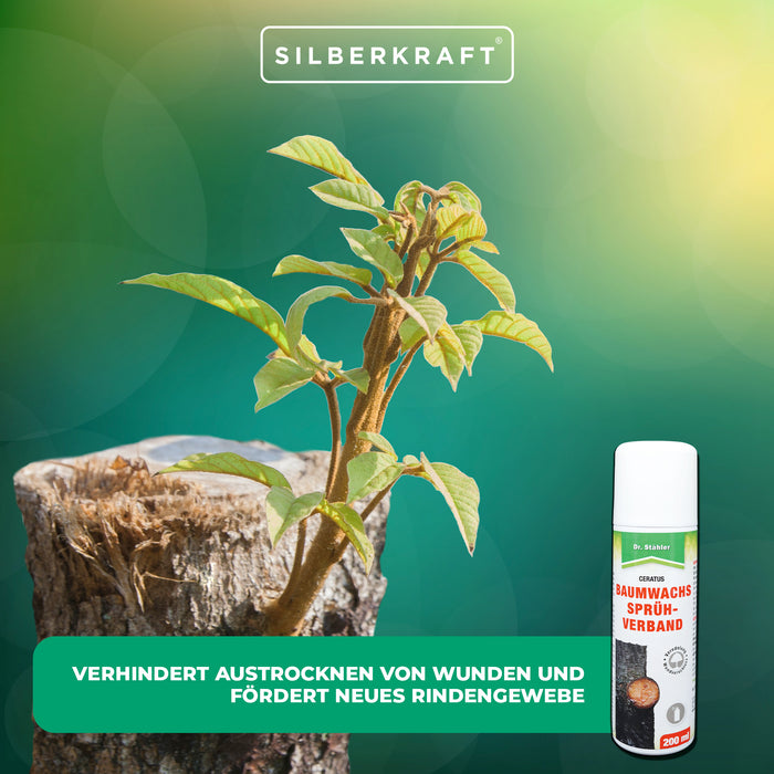 Condimento spray alla cera per alberi: rigenerazione e protezione per i tuoi alberi