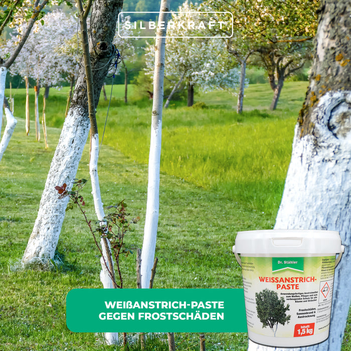 Protezione efficace per alberi e cespugli: pasta verniciante bianca contro i danni dovuti al gelo