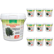 Protezione efficace per alberi e cespugli: pasta verniciante bianca contro i danni dovuti al gelo