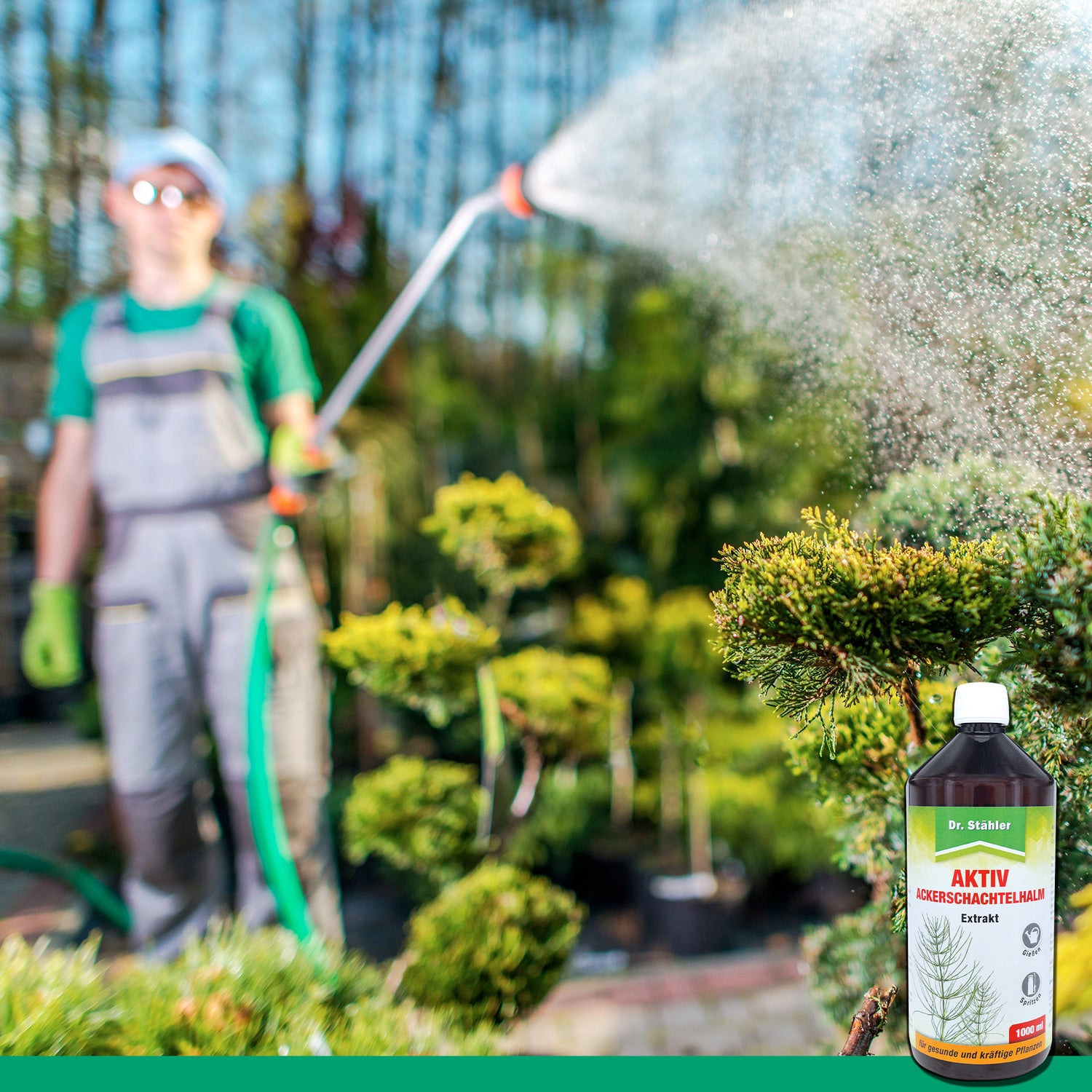 Maggiori informazioni