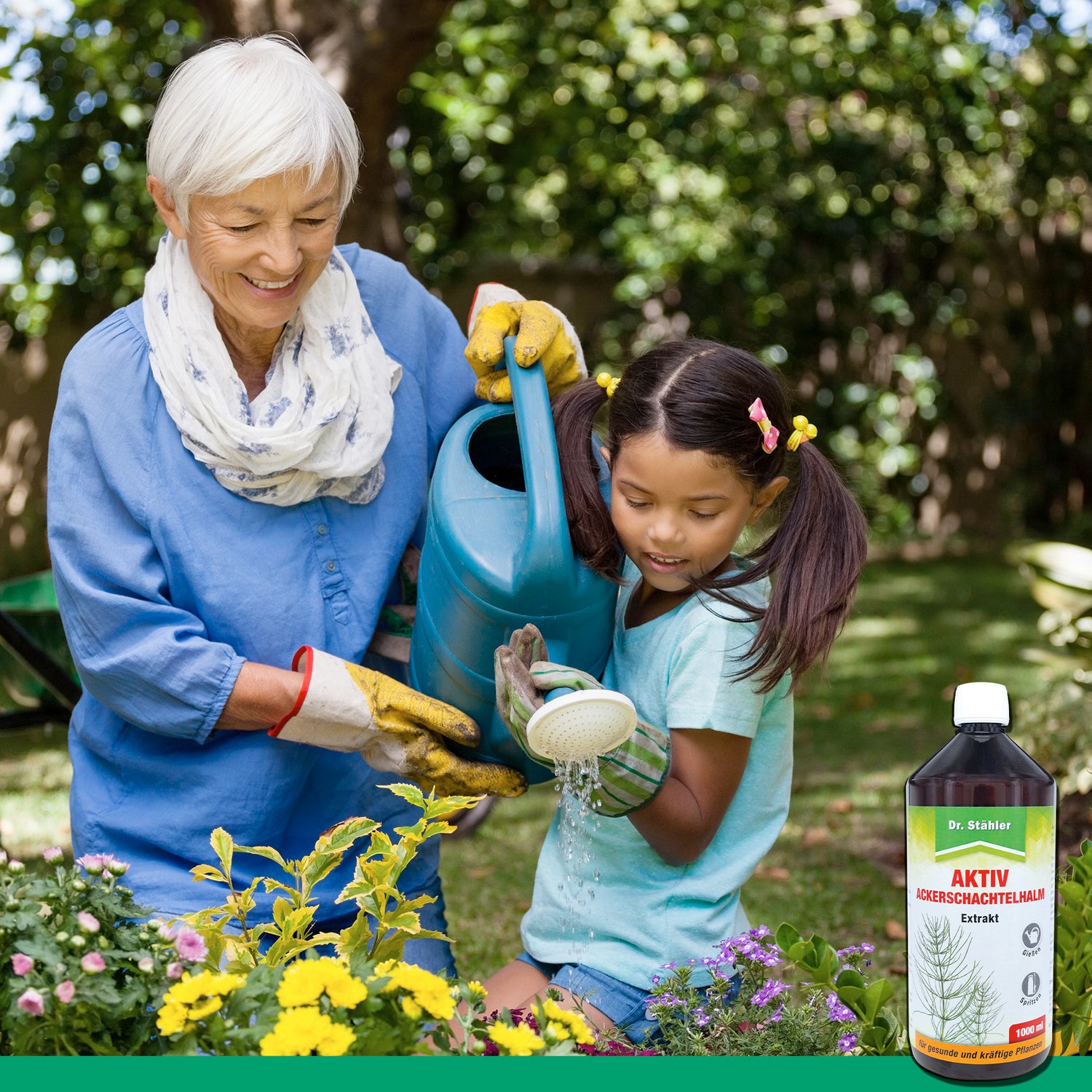 Estratto attivo di equiseto: efficace rinforzante delle piante per una crescita robusta