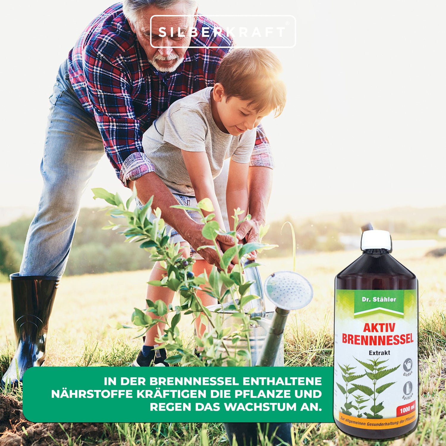 Estratto attivo di ortica: rafforzamento naturale delle piante per una crescita sana