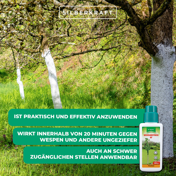 Vernice bianca AF: protezione efficace contro i danni dovuti al gelo e al calore per alberi e cespugli