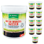 Potere attivo delle radici: rafforzamento ottimale delle piante con funghi micorrizici del terreno