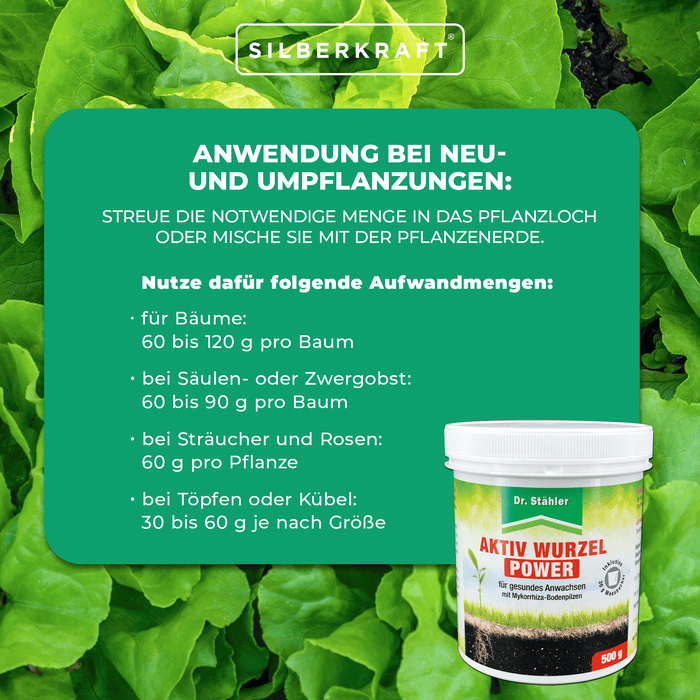 Potere attivo delle radici: rafforzamento ottimale delle piante con funghi micorrizici del terreno