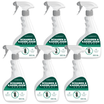 Set di spray a ragno da 6 – pacchetto di fornitura per un controllo rapido e affidabile del ragno