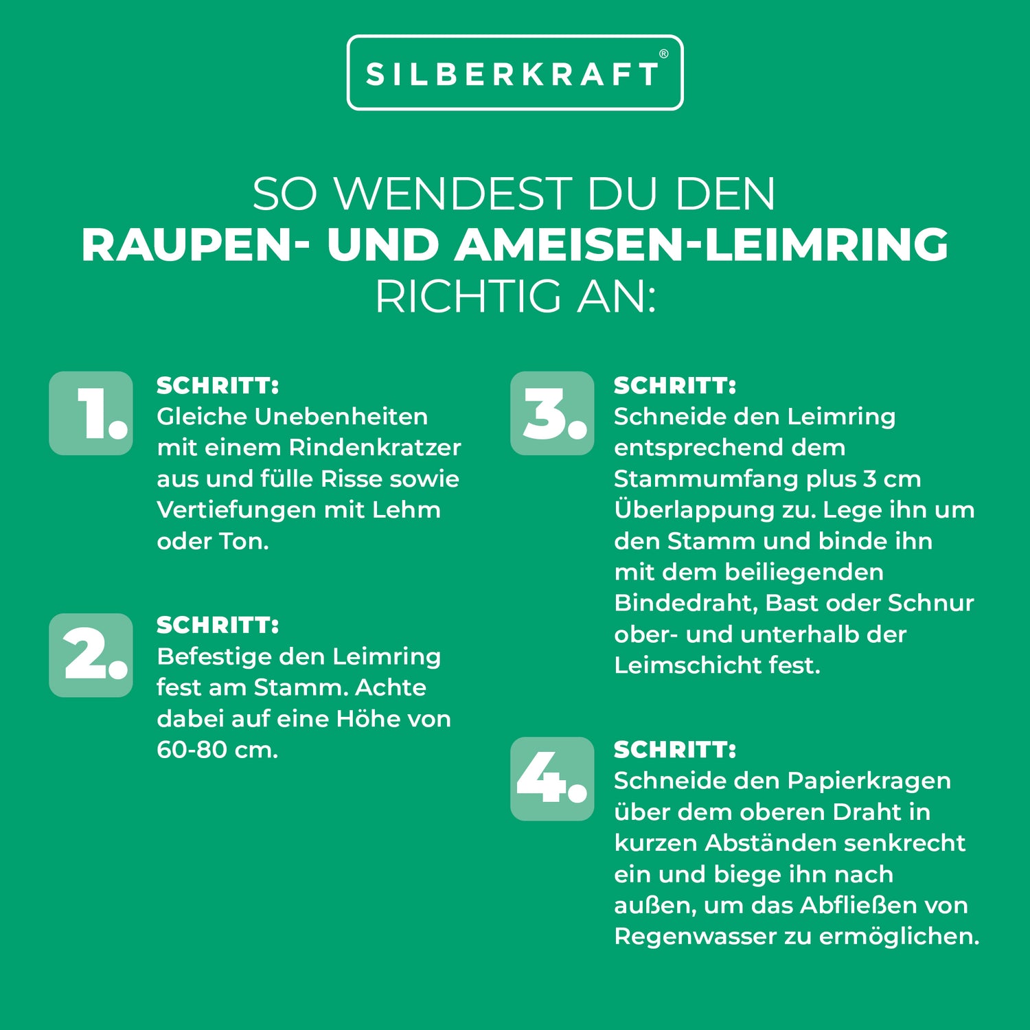 Maggiori informazioni