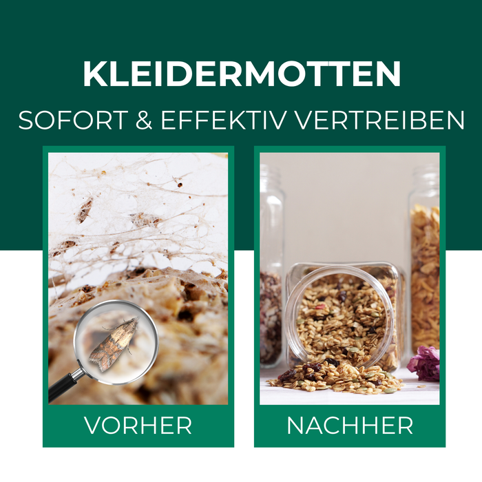 orher-nachher Vergleich mit Silberkraft Mottenfallen – befallene Lebensmittel im Glas vs. mottenfreie Vorräte nach Anwendung