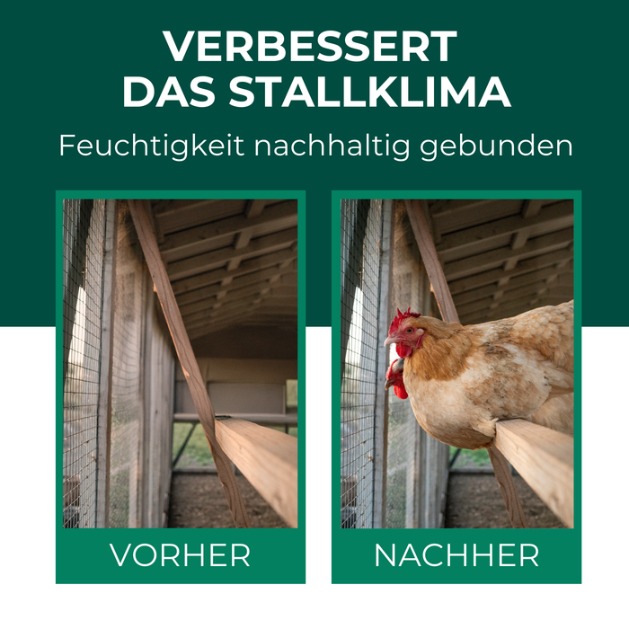 Terra di diatomee per polli e animali da fattoria