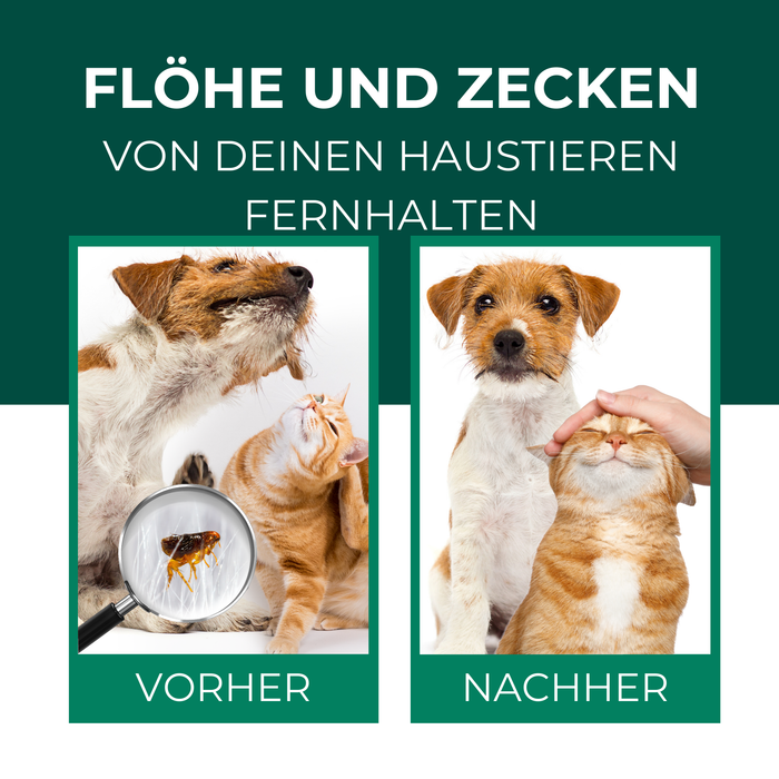 Spray antipulci e zecche per cani e gatti