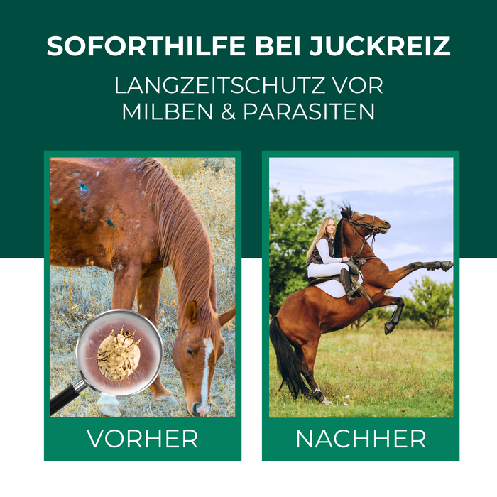 Vorher und Nacher der Anwendung des Pferde Milbensprays. Das Spray gewährleistet einen zuverlässigen Schutz vor Milben, Parasiten und Juckreiz. Befall wird bekämpft.
