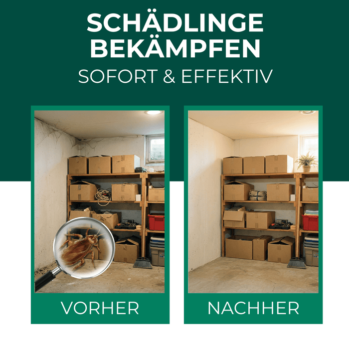 Vorher-Nachher Vergleich Silberkraft Nebelautomat 10g und 20g zur zuverlässigen Bekämpfung von Insekten und Ungeziefer im Innenbereich