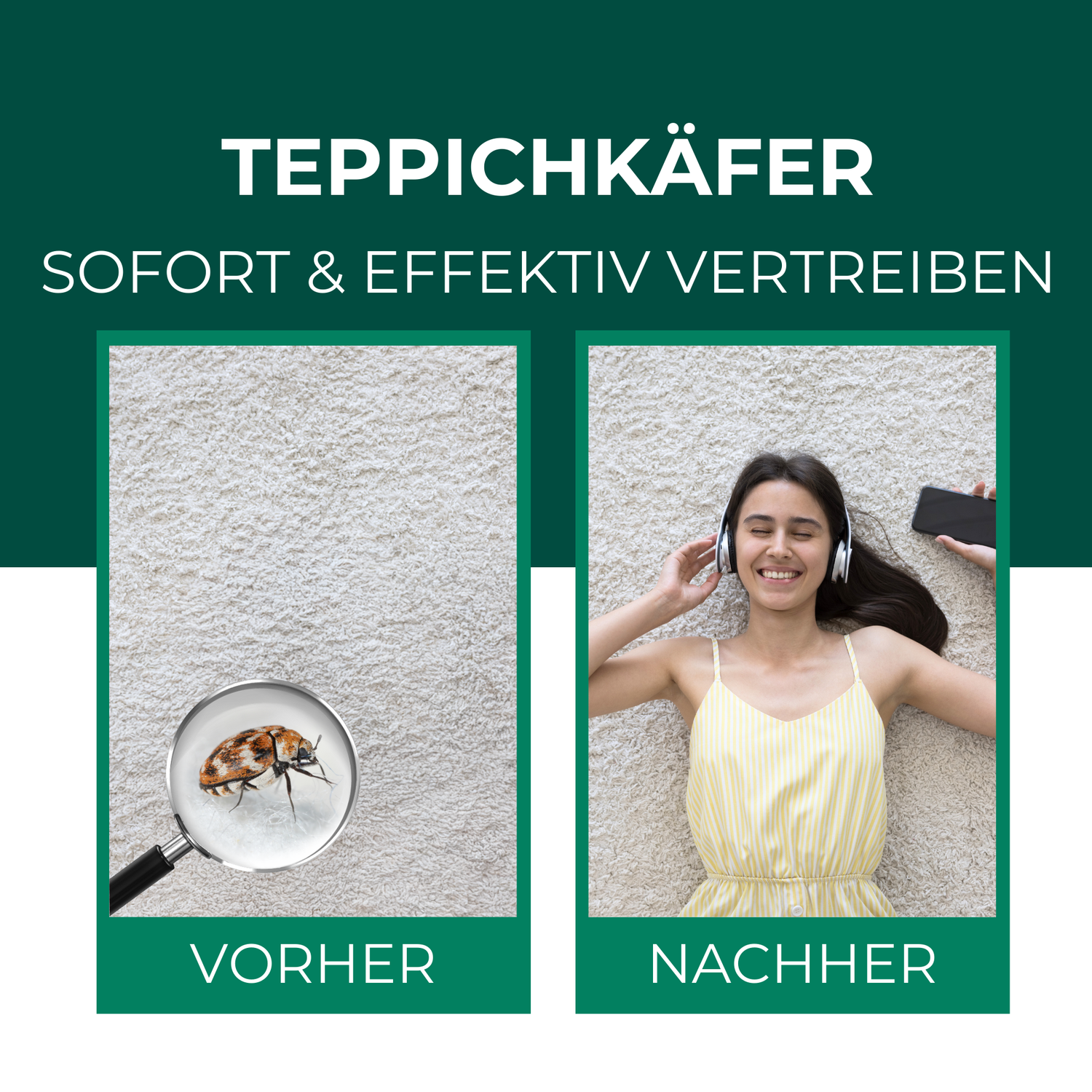 Vergleichsbild: Links ein Teppich mit einem vergrößerten Bild eines Teppichkäfers, rechts eine entspannte Frau, die auf einem sauberen Teppich liegt.