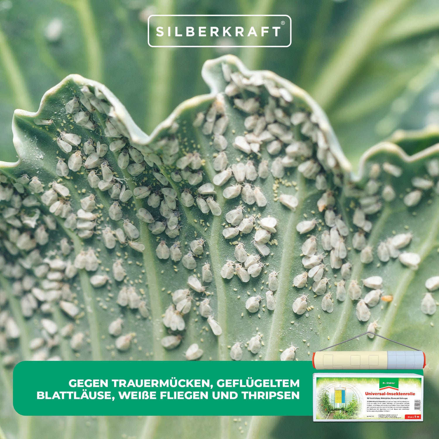 Mulinello universale per insetti: per catturare moscerini dei funghi, afidi alati, mosche bianche e tripidi