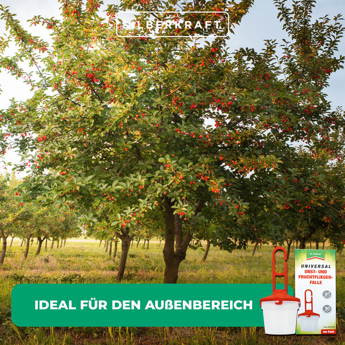 Trappola universale per moscerini e frutta - Da riempire con un attrattivo contro i moscerini della frutta