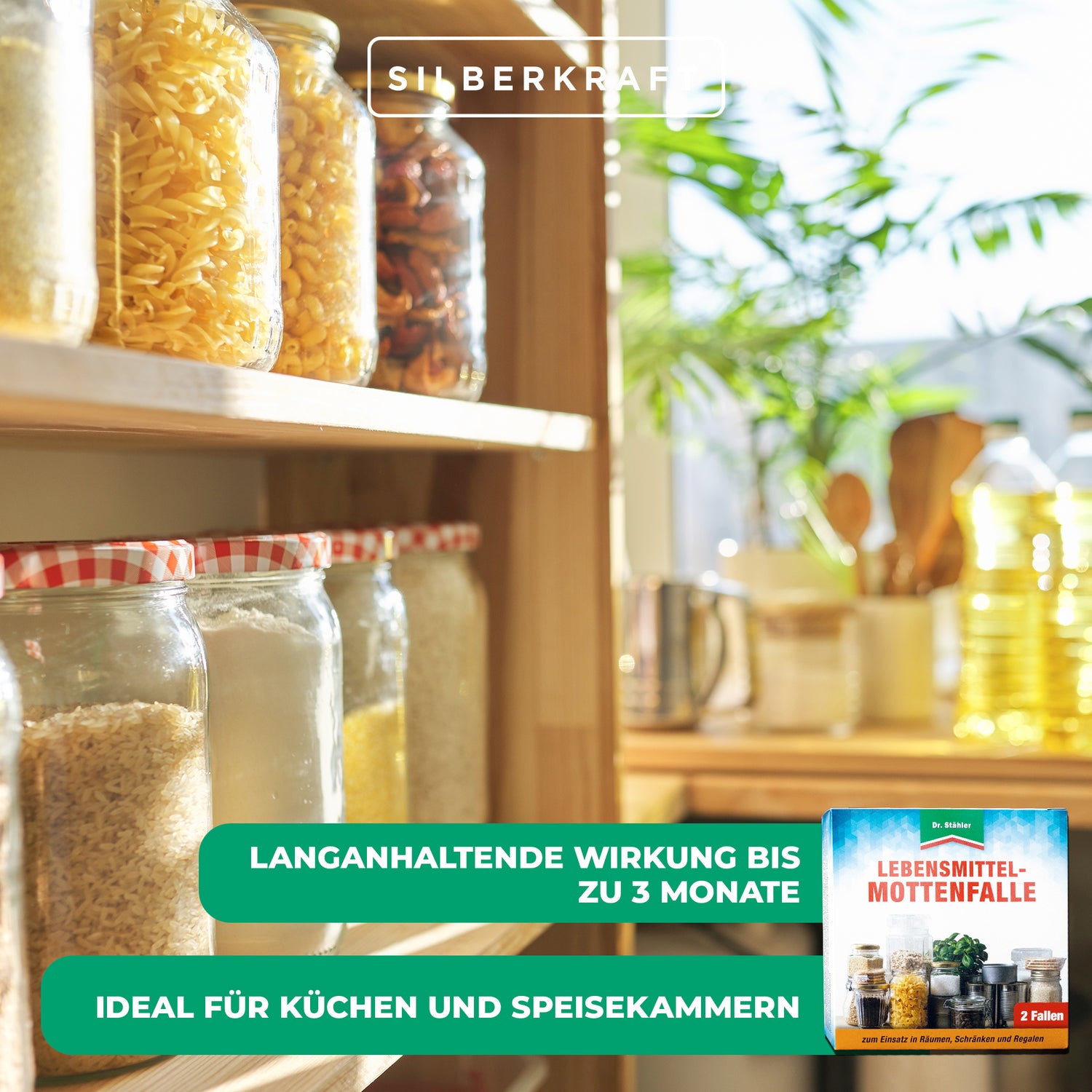 Trappola affidabile per tarme alimentari: efficace protezione antitarme per cucine e dispense