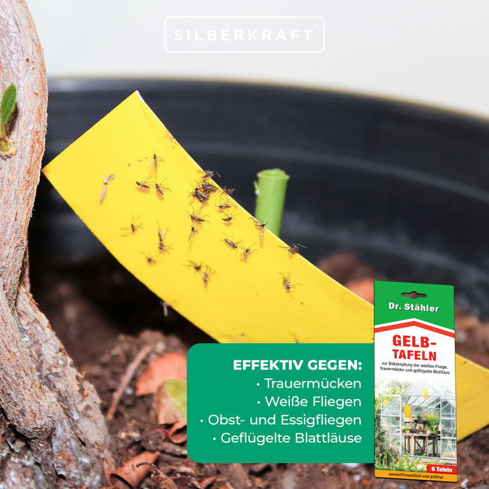 Efficaci pannelli gialli per la disinfestazione di piante da interno e da giardino invernale