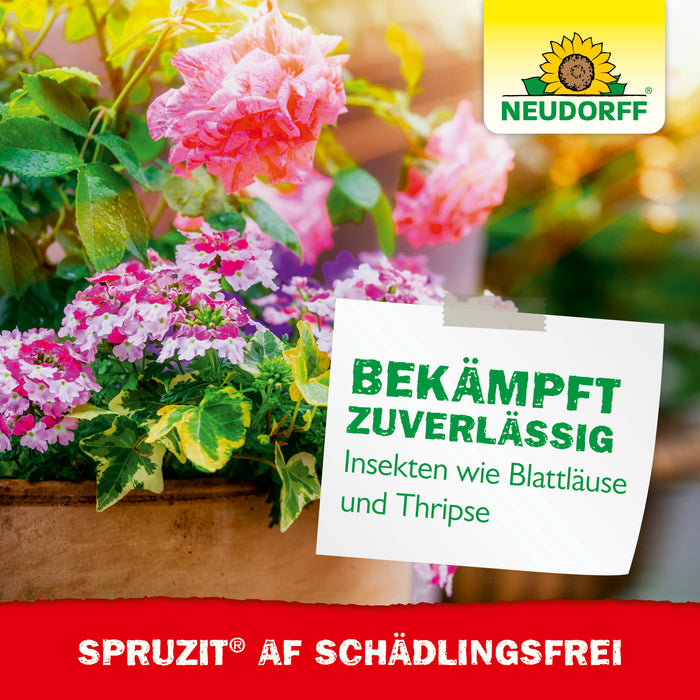 Spruzit NEEM GemüseSchädlingsfrei
